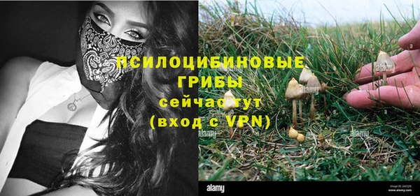 шишки Дмитровск
