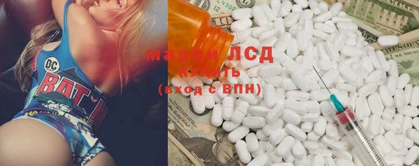 шишки Дмитровск