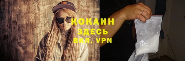 шишки Дмитровск