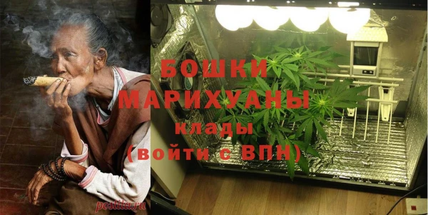 молекула духа Дмитриев