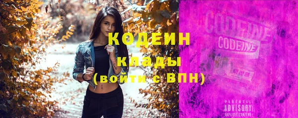 шишки Дмитровск