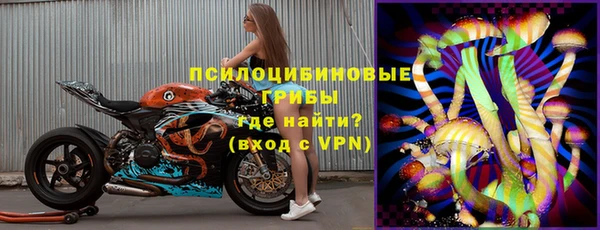 шишки Дмитровск