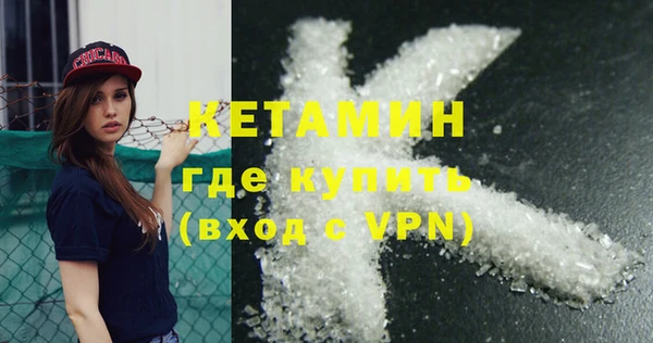 шишки Дмитровск