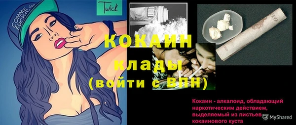молекула духа Дмитриев