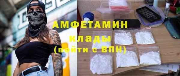 шишки Дмитровск